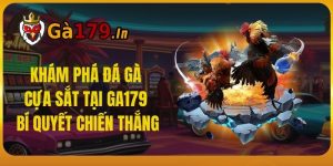 Khám Phá Đá Gà Cựa Sắt Tại GA179 - Bí Quyết Chiến Thắng