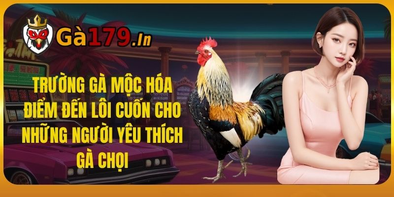 Trường Gà Mộc Hóa - Nơi Đây Là Điểm Đến Hấp Dẫn Dân Chơi Gà