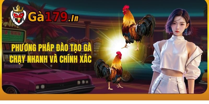  Phương pháp đào tạo gà chạy nhanh và chính xác.