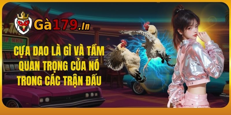 Cựa dao là gì và tầm quan trọng của nó trong các trận đấu.