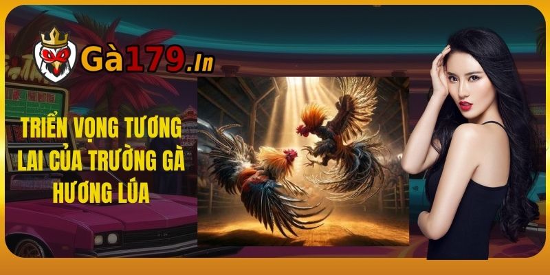 Triển vọng tương lai của trường gà hương lúa