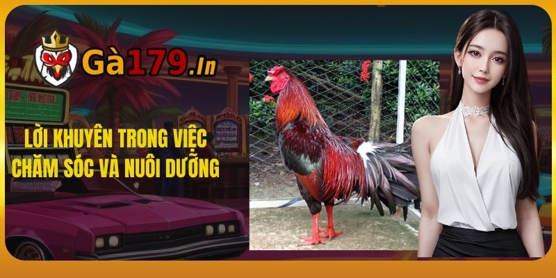 Lời khuyên trong việc chăm sóc và nuôi dưỡng