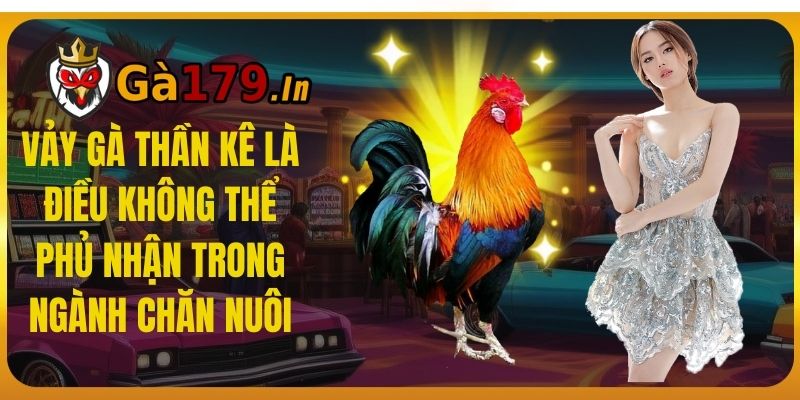 Vảy gà thần kê là điều không thể phủ nhận trong ngành chăn nuôi.