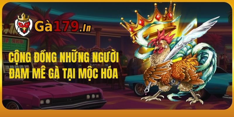 Cộng Đồng Những Người Đam Mê Gà Tại Mộc Hóa