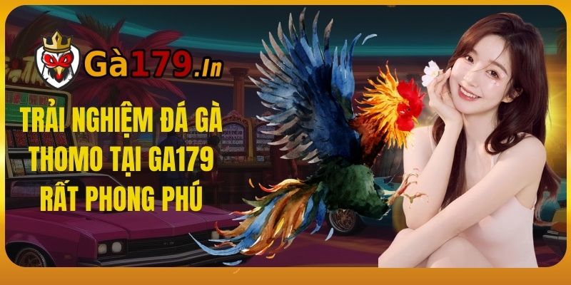 Trải nghiệm đá gà Thomo tại GA179 rất phong phú