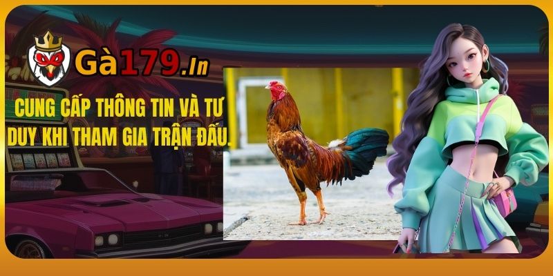 Cung cấp thông tin và tư duy khi tham gia trận đấu.