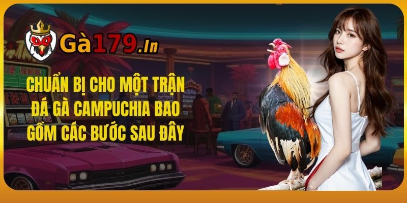 Chuẩn bị cho một trận đá gà Campuchia bao gồm các bước sau đây