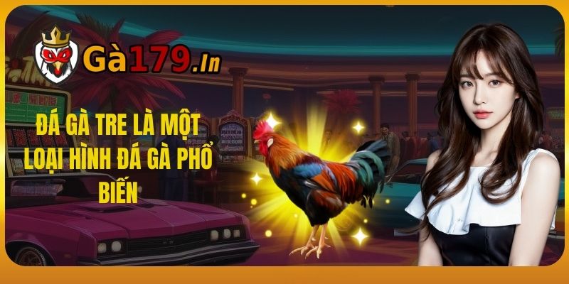 Đá Gà Tre là một loại hình đá gà phổ biến