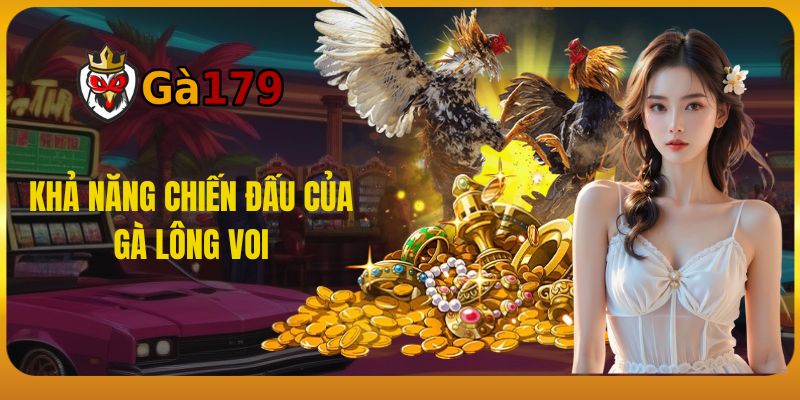 Khả Năng Chiến Đấu Của Gà Lông Voi