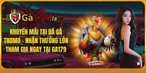 Khuyến Mãi Tại Đá Gà Thomo - Nhận Thưởng Lớn Tham Gia Ngay Tại GA179