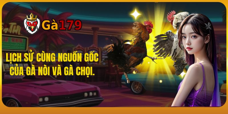 Lịch sử cùng nguồn gốc của gà nòi và gà chọi.