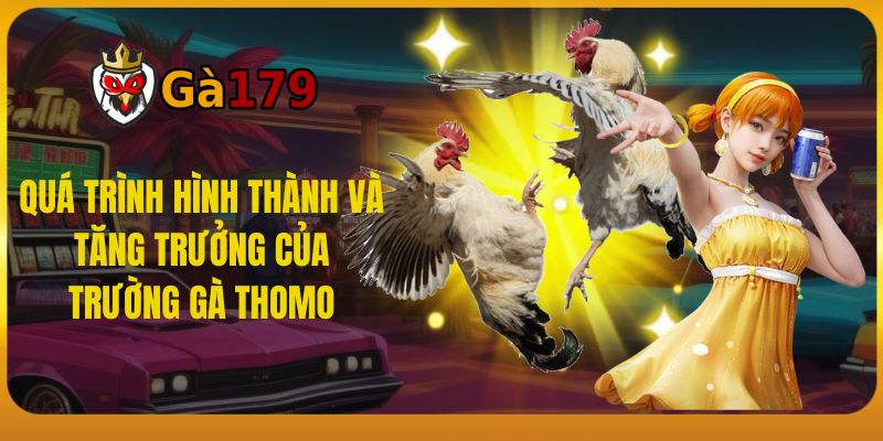 Quá Trình Hình Thành Và Tăng Trưởng Của Trường Gà Thomo