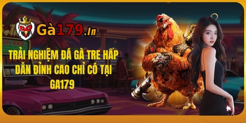 Trải Nghiệm Đá Gà Tre Hấp Dẫn Đỉnh Cao Chỉ Có Tại GA179