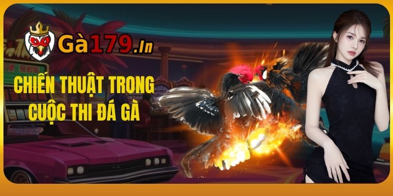 Chiến thuật trong cuộc thi đá gà