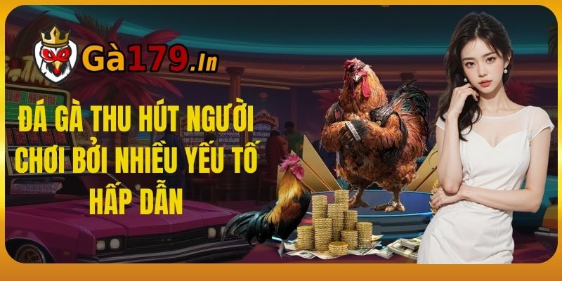 Đá gà thu hút người chơi bởi nhiều yếu tố hấp dẫn.