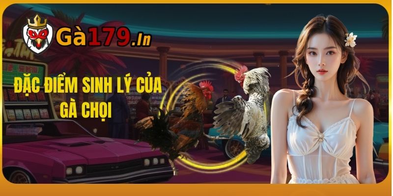 Đặc điểm sinh lý của gà chọi