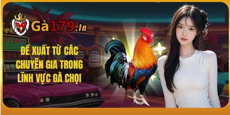 Đề xuất từ các chuyên gia trong lĩnh vực gà chọi.