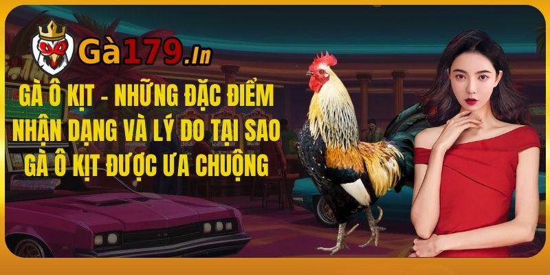 Gà Ô Kịt - Những Đặc Điểm Nhận Dạng Và Lý Do Tại Sao Gà Ô Kịt Được ưa Chuộng