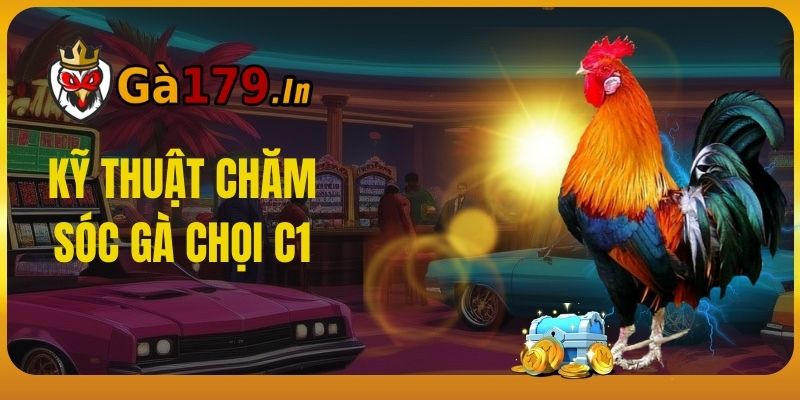 Kỹ thuật chăm sóc Gà Chọi C1