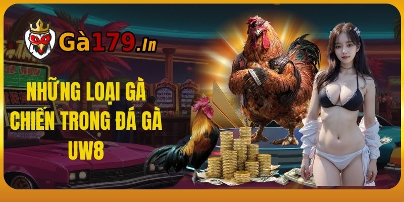 những loại gà chiến trong đá gà uw8