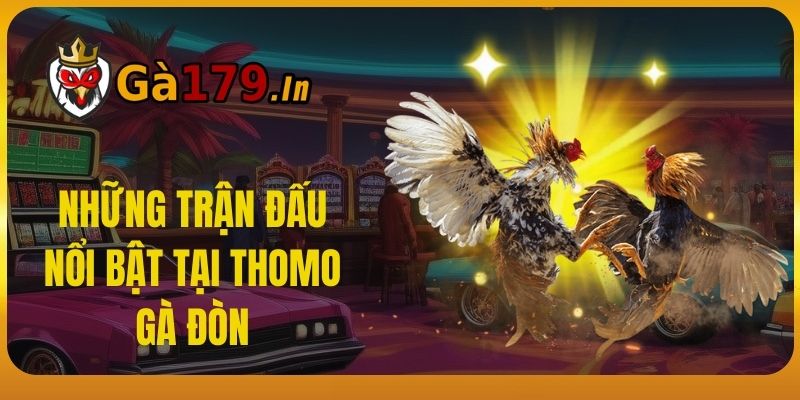 Những trận đấu nổi bật tại Thomo Gà Đòn.