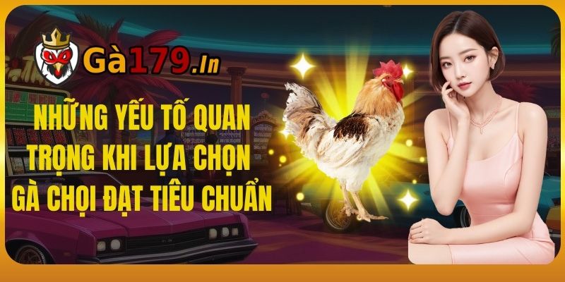 Những yếu tố quan trọng khi lựa chọn gà chọi đạt tiêu chuẩn.