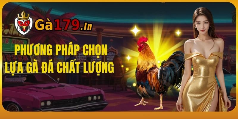 Phương pháp chọn lựa gà đá chất lượng