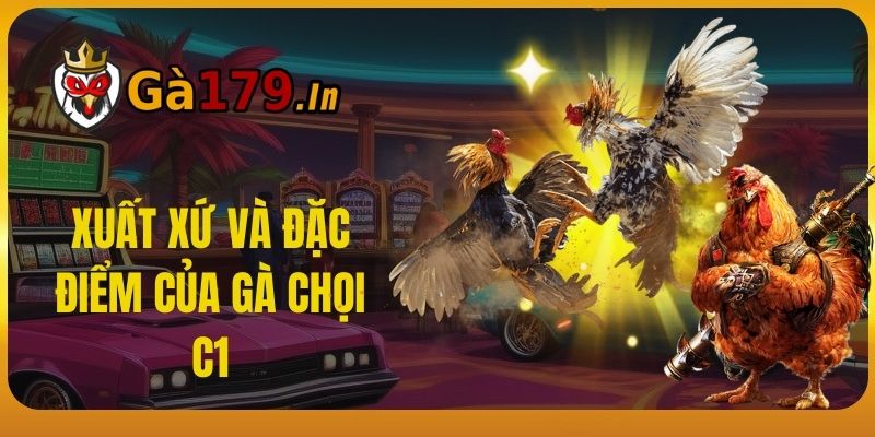 Xuất xứ và đặc điểm của Gà Chọi C1